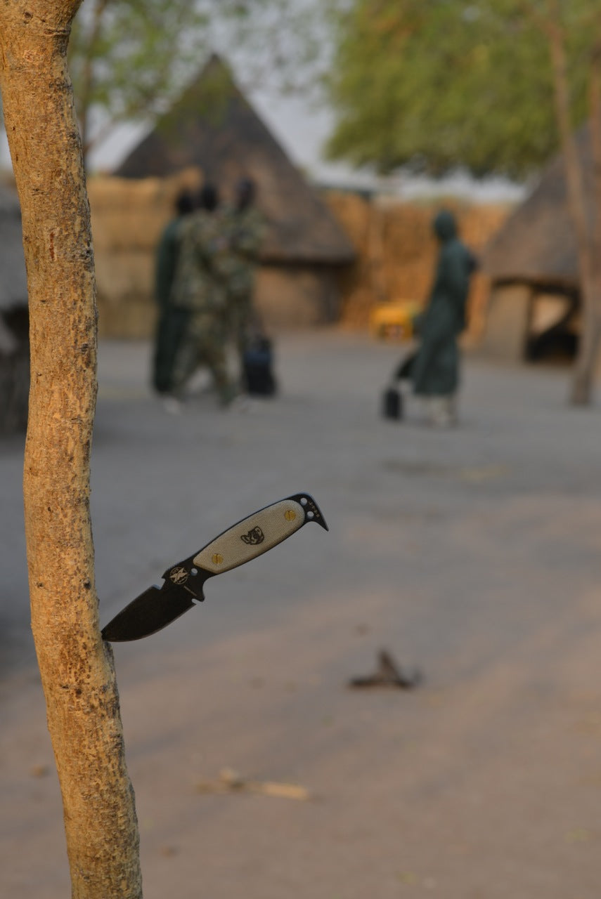 DPx HEST Original Coming in New Configurations - October 2014